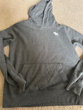 Abercrombie & Fitch kids Dark Gray Hooded Crewneck Sweater